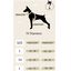 BLAZE - Arnés Ajustable H para perros Tail and Tropic, , large indicador imagen numero 5
